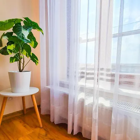 ~comfortify~ Kingsize Bed, A/c, Wifi, Skylineview